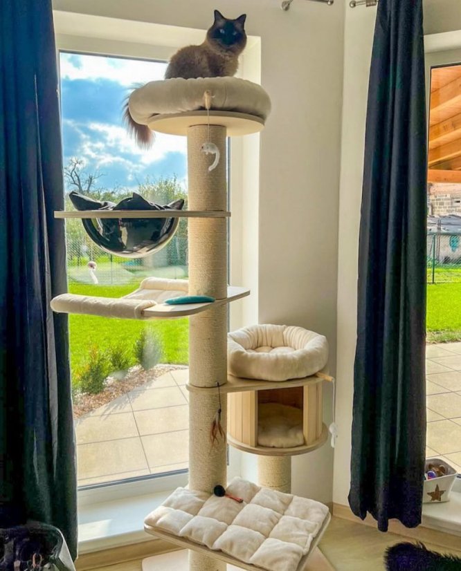 Masívne škrabadlo Rapunzel XXL 190 cm, krémové – stĺpy ⌀ 15 cm, priehľadná kupola