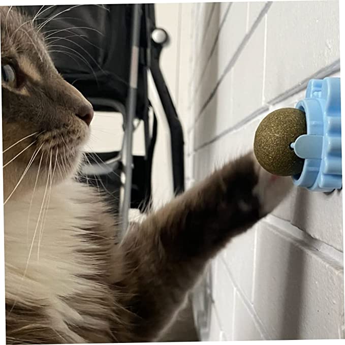 Míč na stěnu Catnip Ball - hračka s šantou kočičí pro kočky, růžová