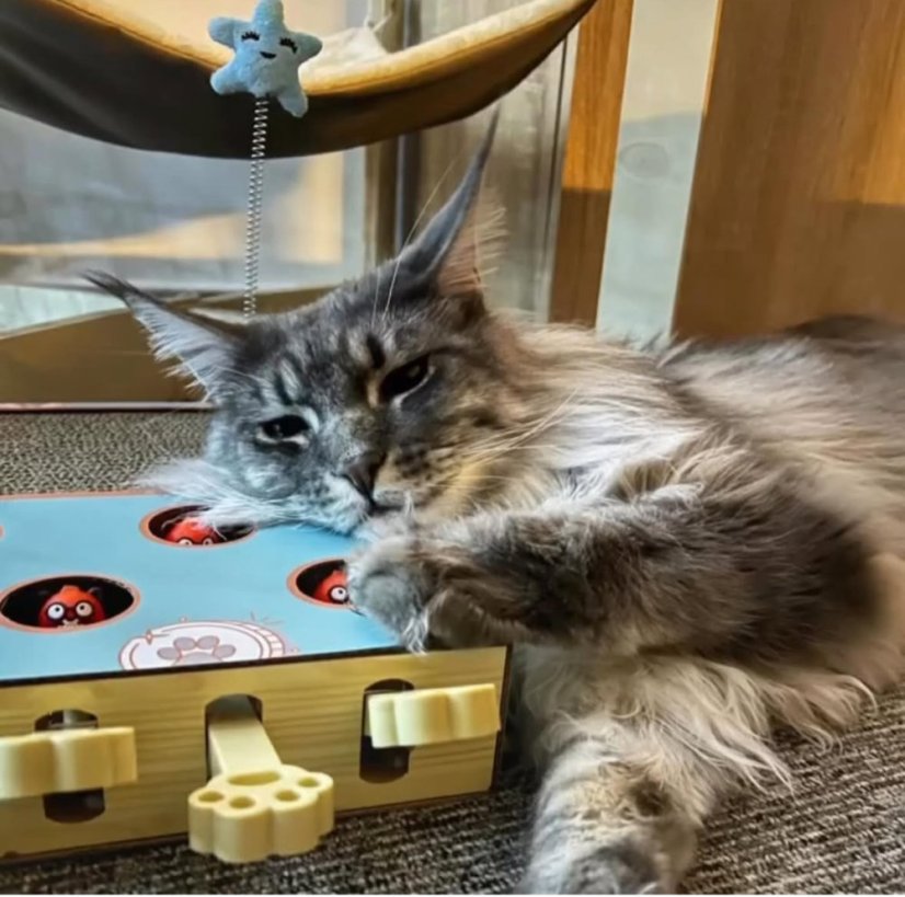 OUTLET Interaktivní škrabohračka pro kočky piano