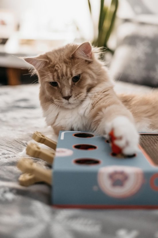 OUTLET Interaktivní škrabohračka pro kočky piano