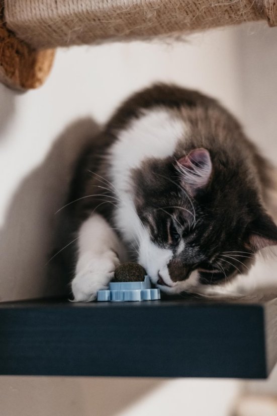 Míč na stěnu Catnip Ball - hračka s šantou kočičí pro kočky, růžová