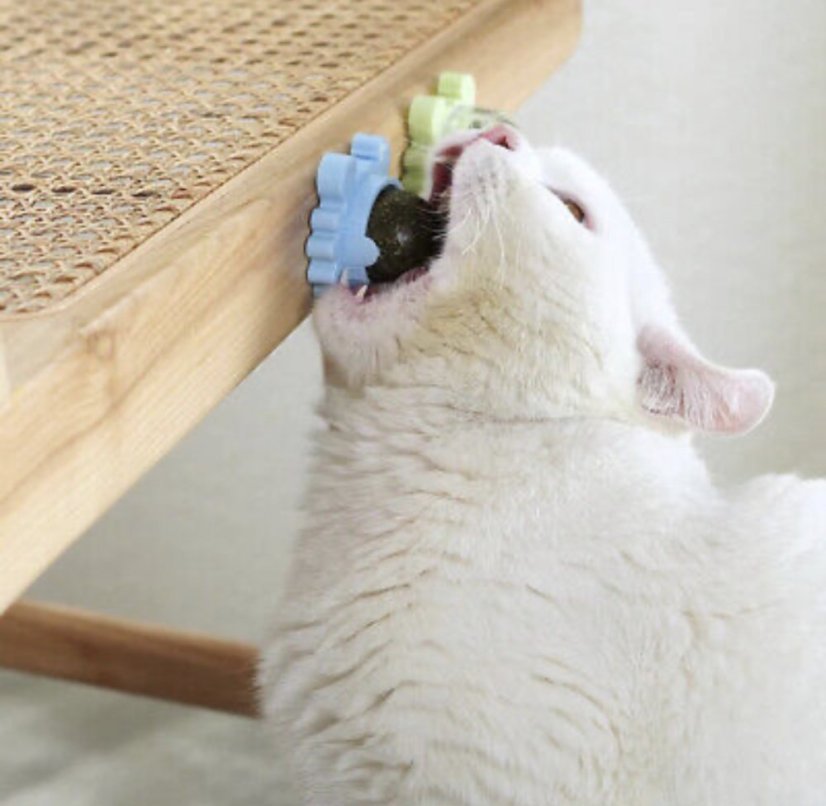Míč na stěnu Catnip Ball - hračka s šantou kočičí pro kočky, růžová