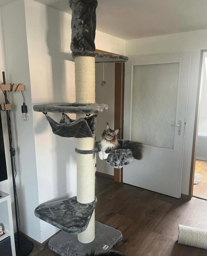 AKCE Škrabadlo do stropu Simba XXL, šedá, 57x57x240-275 cm