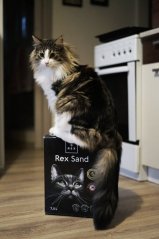 Rex písek pro kočky 7,5L