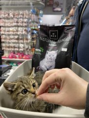 Rex Natural Range Kitten 3 kg