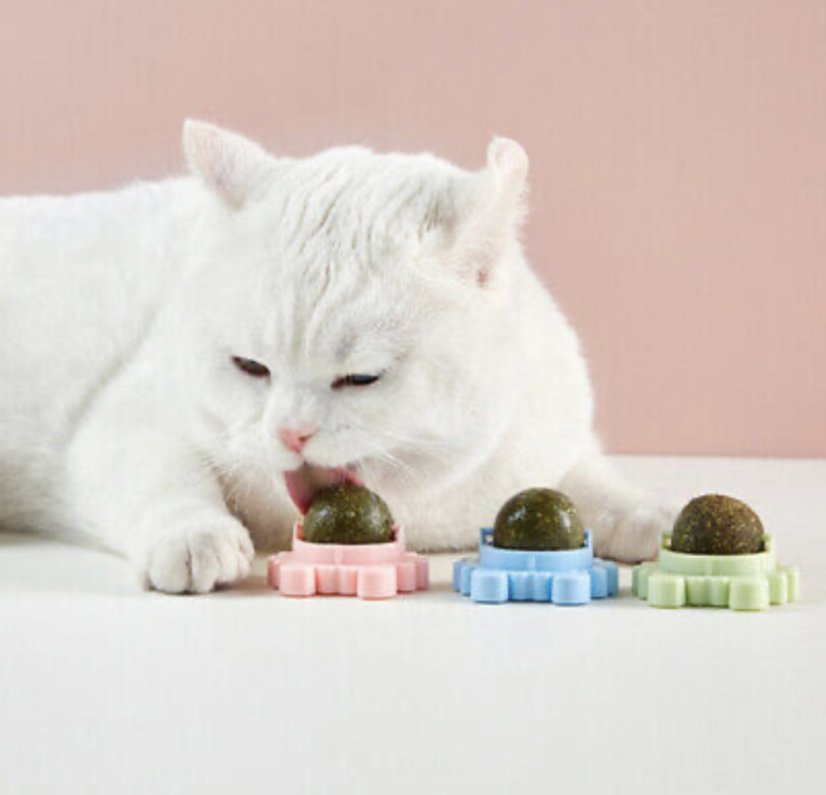 Míč na stěnu Catnip Ball - hračka s šantou kočičí pro kočky, růžová