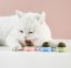 Míč na stěnu Catnip Ball - hračka s šantou kočičí pro kočky, růžová
