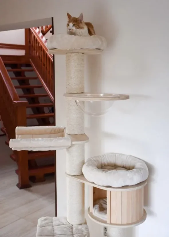Masívne škrabadlo Rapunzel XXL 190 cm, krémové – stĺpy ⌀ 15 cm, priehľadná kupola