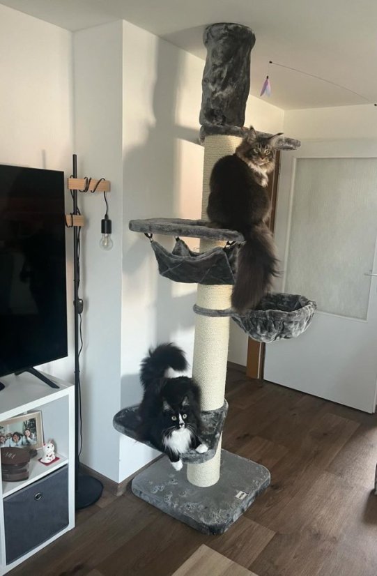 AKCE Škrabadlo do stropu Simba XXL, šedá, 57x57x240-275 cm