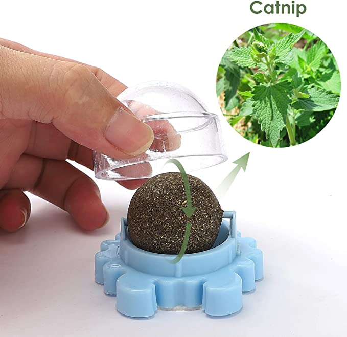 Míč na stěnu Catnip Ball - NOVINKA! Ve tvaru kočičí hlavy, zelená