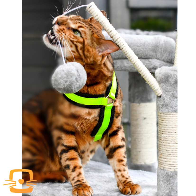 Škrabadlo Elsa, světle šedé, 154x50x50 cm