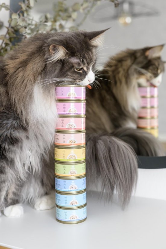 Amore Cat konzerva kura s krevetami 70g