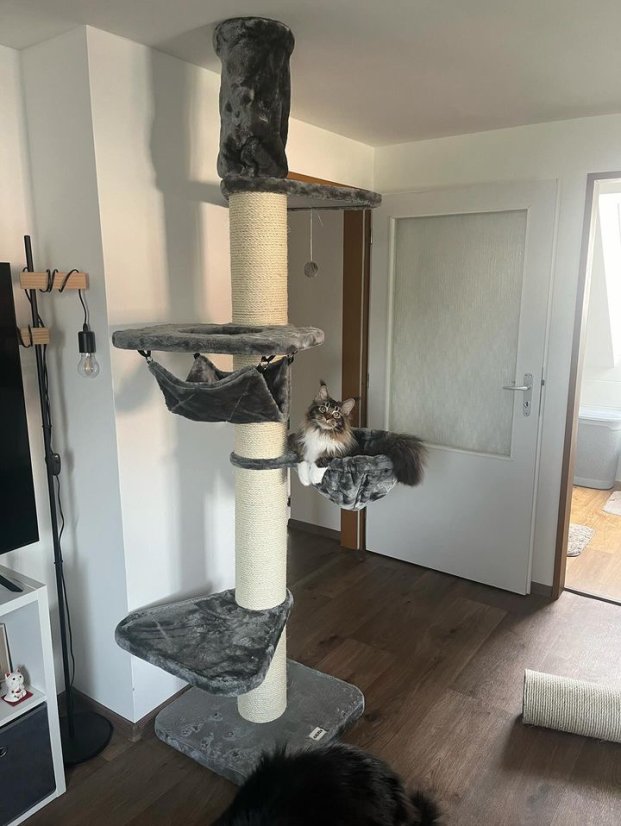 AKCE Škrabadlo do stropu Simba XXL, šedá, 57x57x240-275 cm