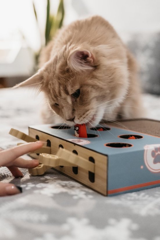 OUTLET Interaktivní škrabohračka pro kočky piano