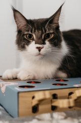 OUTLET Interaktivní škrabohračka pro kočky piano