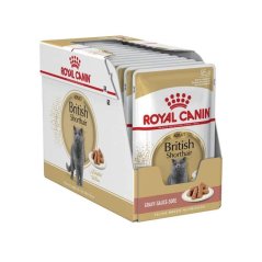 Royal Canin British Shorthair v omáčce 12x 85g