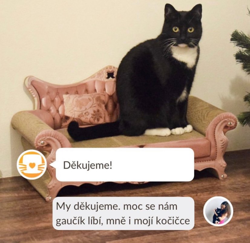 Luxusní kartonové škrabadlo Queen, 60x30x35 cm