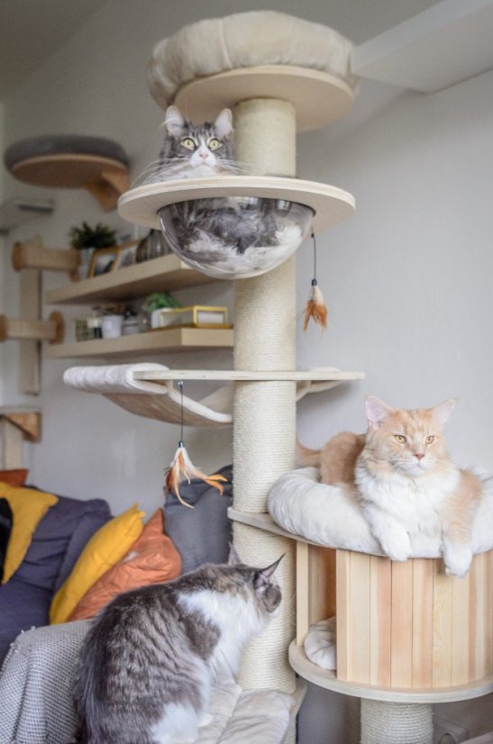 Masívne škrabadlo Rapunzel XXL 190 cm, krémové – stĺpy ⌀ 15 cm, priehľadná kupola