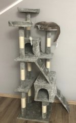 AKCIA Škrabadlo Micki, svetlosivé, 50 × 50 × 170 cm