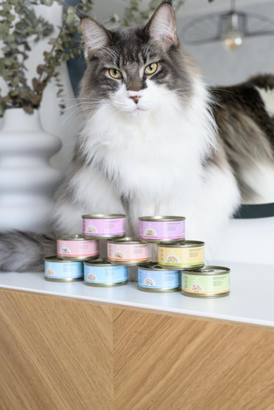 Amore cat konzerva kuře s krevetami 70g