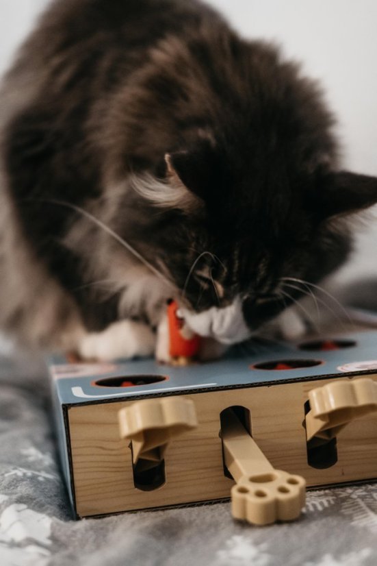 OUTLET Interaktivní škrabohračka pro kočky piano