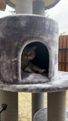 Škrabadlo XXL Gigant Stříbrňáček, 75 x 75 x 165cm, extrémně stabilní s masivními sloupy