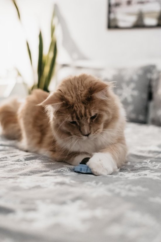 Míč na stěnu Catnip Ball - hračka s šantou kočičí pro kočky, růžová