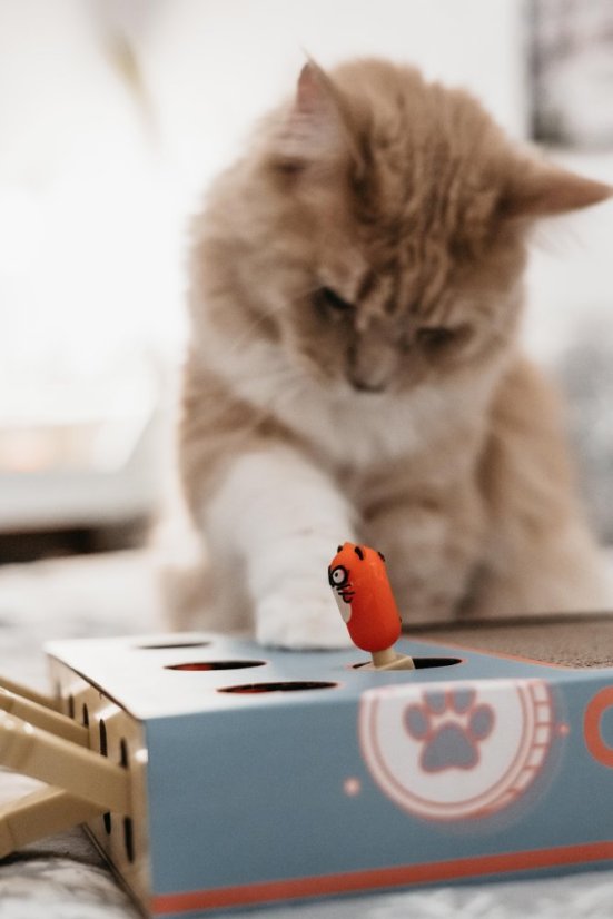 OUTLET Interaktivní škrabohračka pro kočky piano