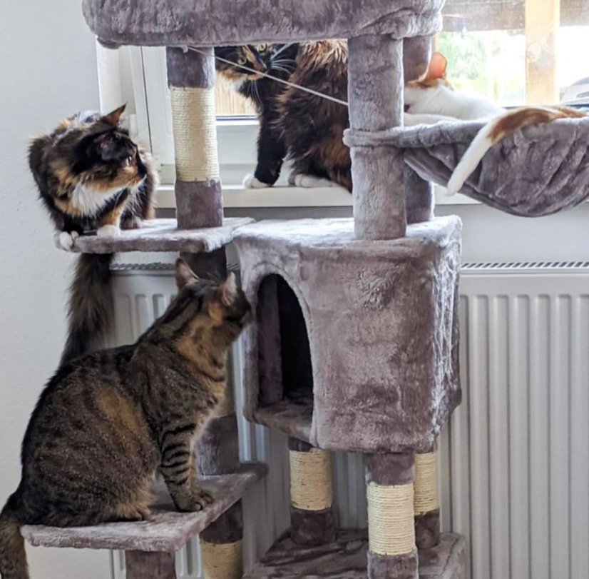 Škrabadlo Comfort šedé, 49x45x120 cm