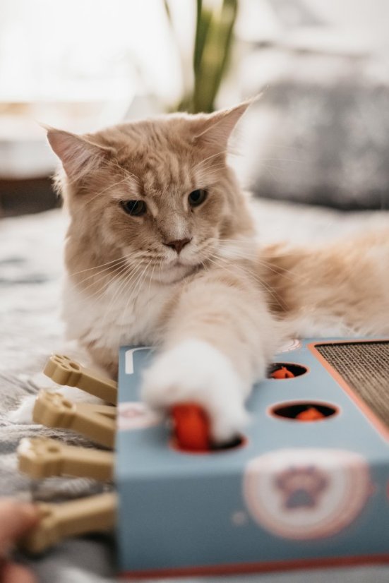 OUTLET Interaktivní škrabohračka pro kočky piano