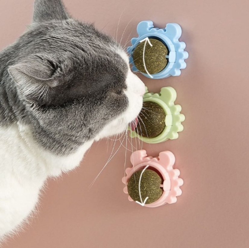 Míč na stěnu Catnip Ball - hračka s šantou kočičí pro kočky, růžová