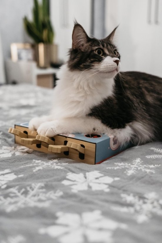 OUTLET Interaktivní škrabohračka pro kočky piano