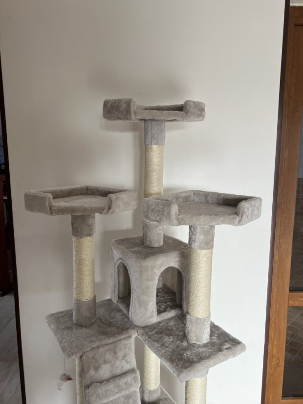 AKCIA Škrabadlo Micki, svetlosivé, 50 × 50 × 170 cm