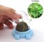 Míč na stěnu Catnip Ball - NOVINKA! Ve tvaru kočičí hlavy, zelená