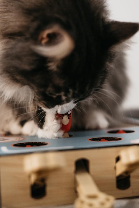 OUTLET Interaktivní škrabohračka pro kočky piano