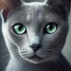 Korat​
