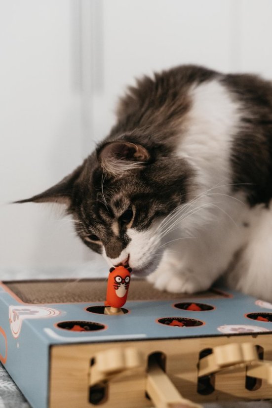 OUTLET Interaktivní škrabohračka pro kočky piano