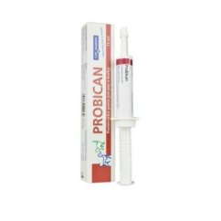 Probican pasta 15ml