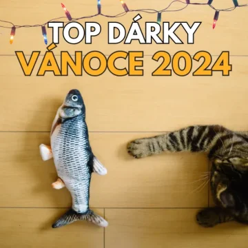 5 suprových dárků na Vánoce pro kočku