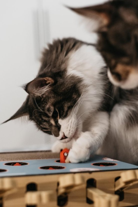 OUTLET Interaktivní škrabohračka pro kočky piano