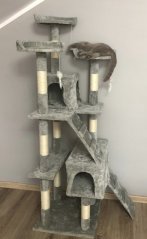 AKCIA Škrabadlo Micki, svetlosivé, 50 × 50 × 170 cm